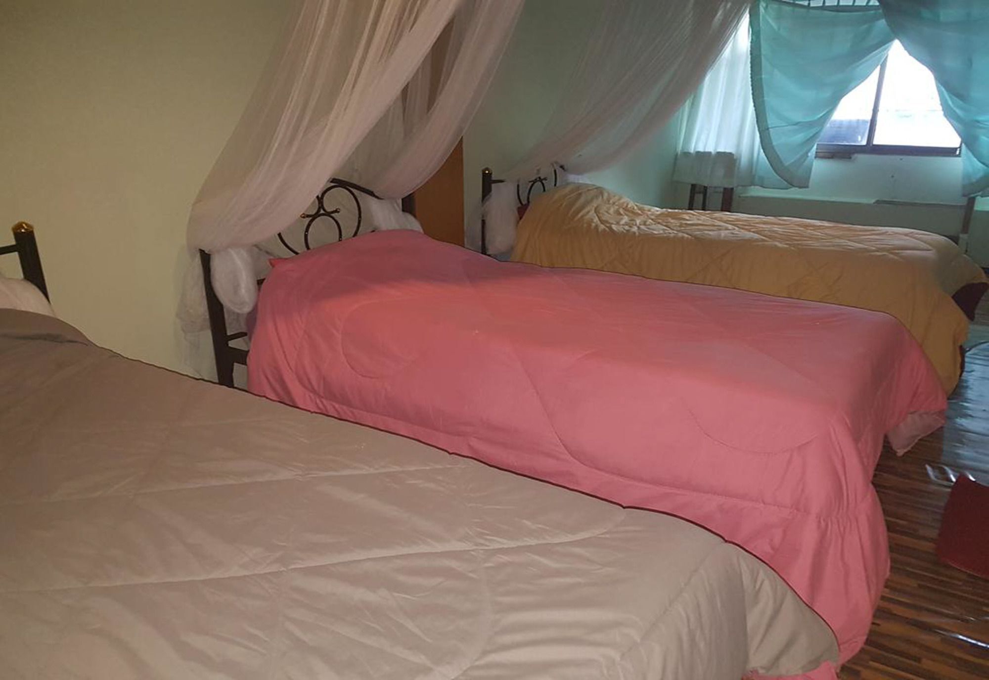 Bar 184 Party Hostel (Adults Only) Чіанграй Екстер'єр фото